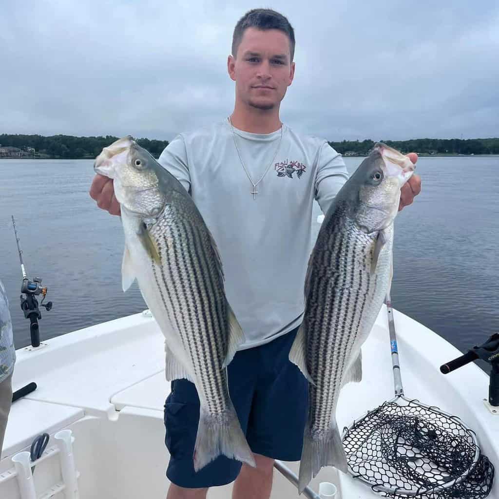 A young man standing on a fishing boat holds up two striped bass he caught on Lake Murray, South Carolina.