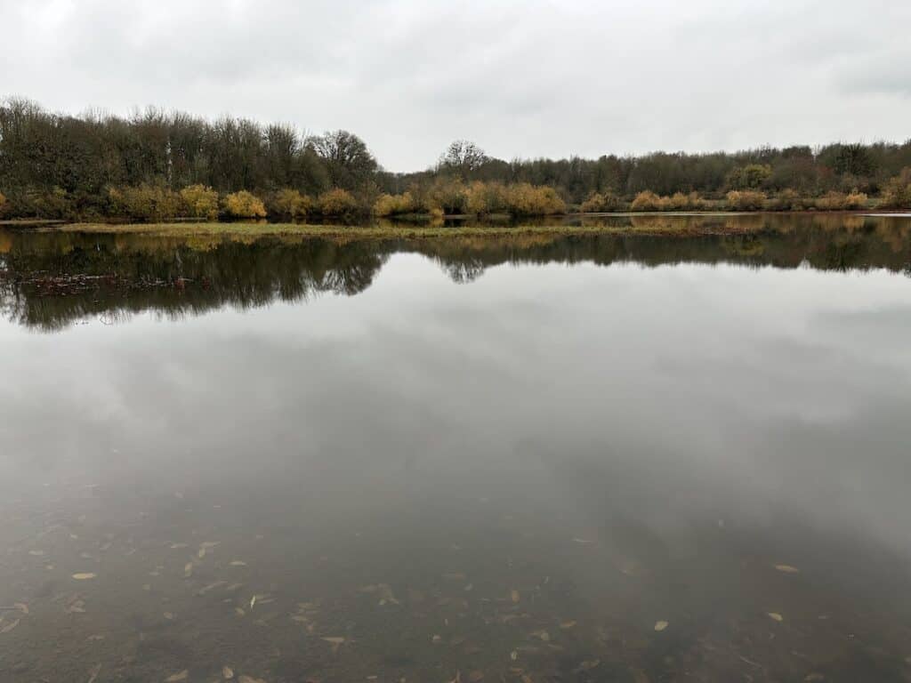 Scenic view of Freeway Lakes, which is popular for warmwater fishing and kayaking.