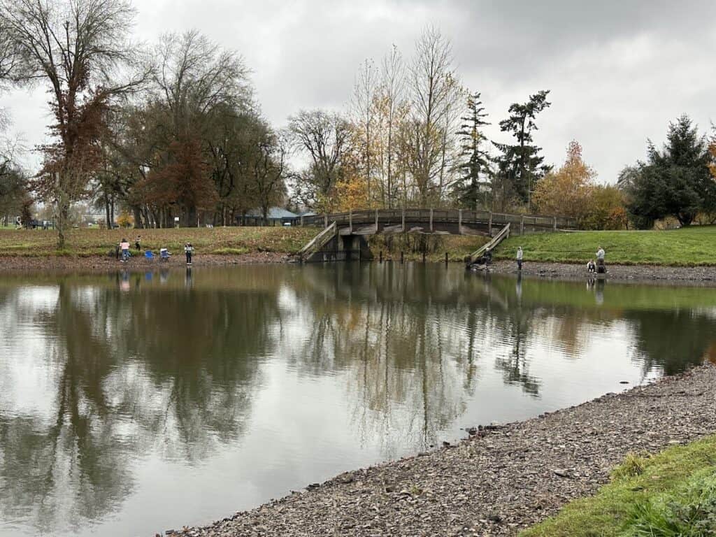 Anglers line the shoreline of Timber Linn Lake, a small park lake that is regularly stocked with hatchery rainbow trout in Albany.