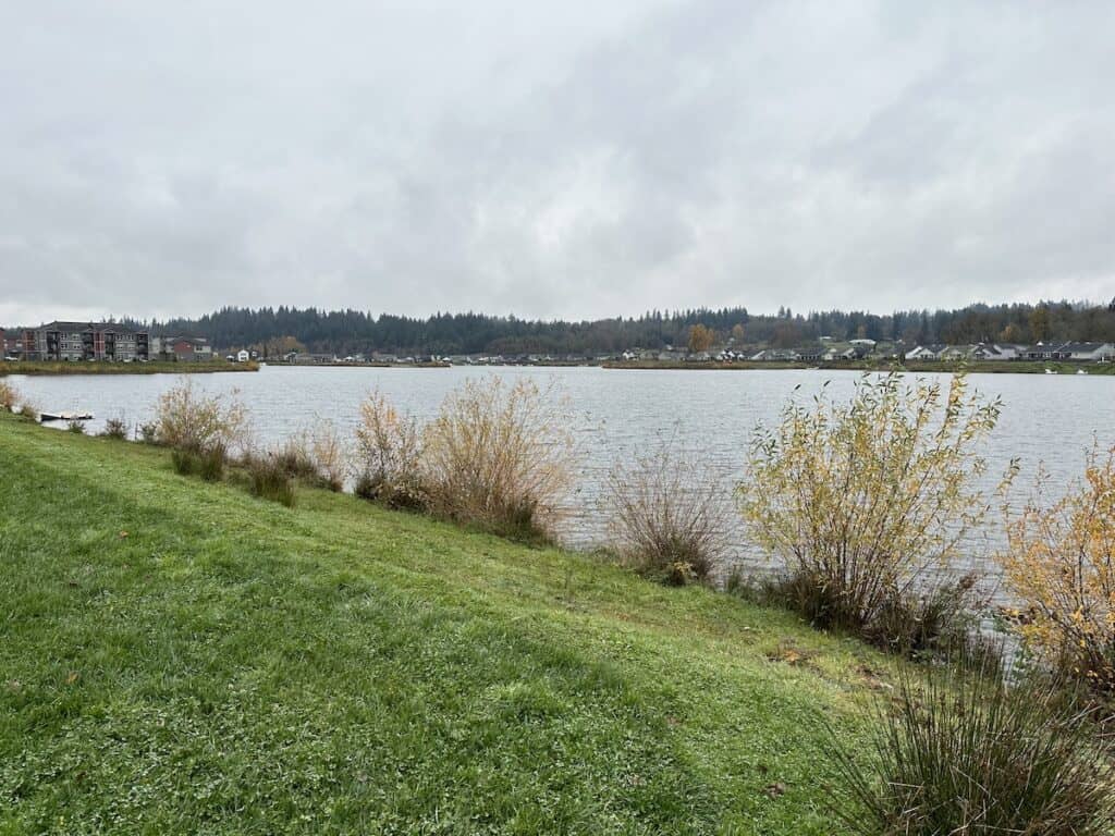 Shoreline view from the park at Turner Lake in Turner, Oregon, which has seasonally stocked rainbow trout and some other fish species.