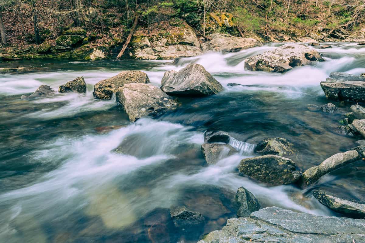 Rapids and pocketwater on the Tellico River, one of Tennessee's trout fishing streams.