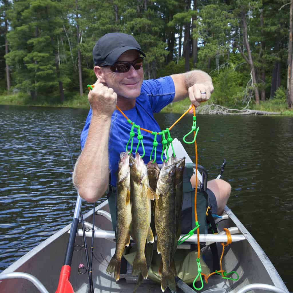 Angler in a canoe holds up a stringer of walleye caught fishing in Minnesota.