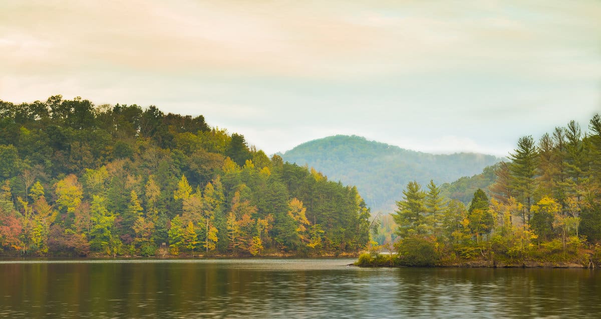 Leaves showing fall color at Dewey Lake, one of Kentucky's best fishing spots for muskies.