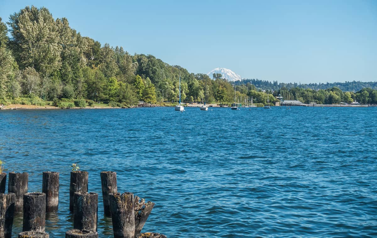 View of the blue waters of Lake Washington with boats in the background, from Renton's Coulon Park.