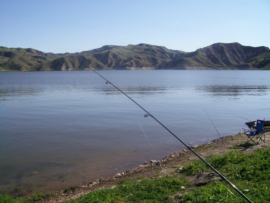 Shore fishing rods propped up along the bank at Lake Piru.