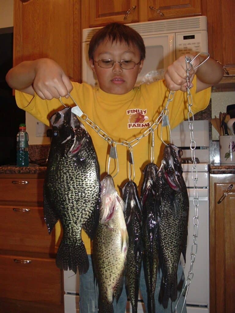 Boy holding a stringer full of large crappie caught at Lake Piru.
