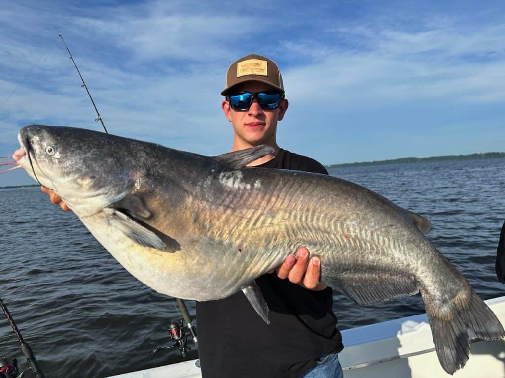 A young angler on a boat holds up and absolutely giant blue catfish caught on the lower Susquehanna River in Maryland.