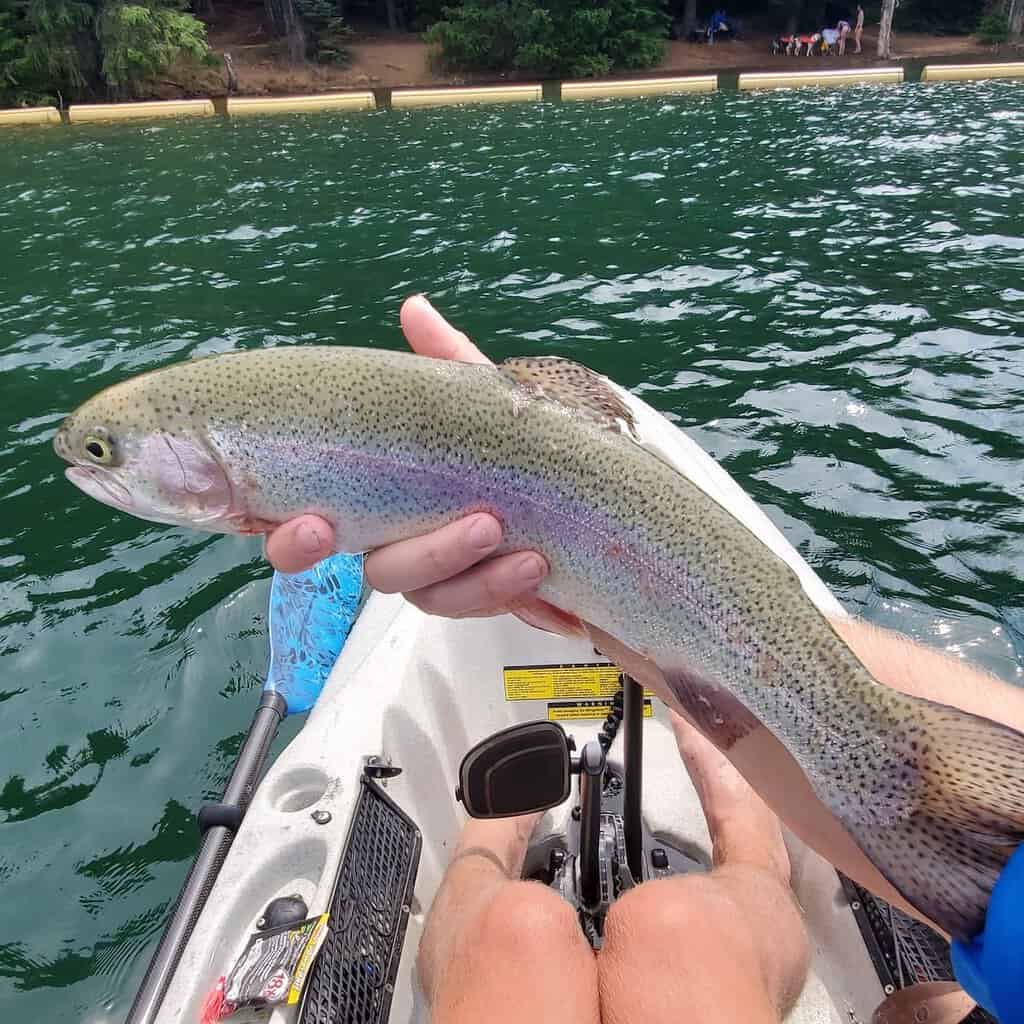 Angler in kayak holds up a rainbow trout he caught in Battle Ground Lake in Clark County, Washington.